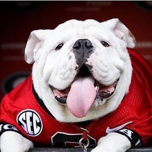 Meet your Posher, Brett